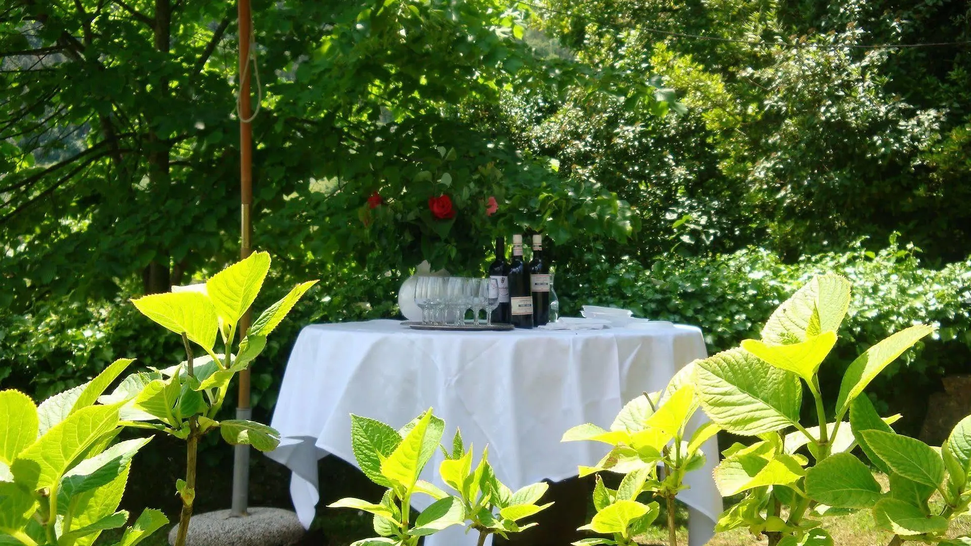 Hotel Fattoria Di Bacchereto - Guest House